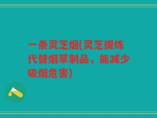 一条灵芝烟(灵芝提炼代替烟草制品，能减少吸烟危害)