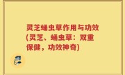 灵芝蛹虫草作用与功效(灵芝、蛹虫草：双重保健，功效神奇)