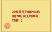 20斤灵芝的功效与作用(20斤灵芝的神奇效果！)