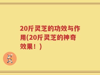 20斤灵芝的功效与作用(20斤灵芝的神奇效果！)