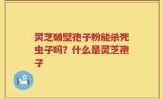 灵芝破壁孢子粉能杀死虫子吗？什么是灵芝孢子