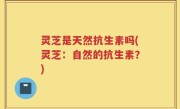 灵芝是天然抗生素吗(灵芝：自然的抗生素？)