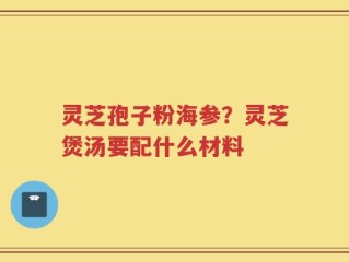 灵芝孢子粉海参？灵芝煲汤要配什么材料