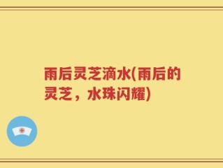 雨后灵芝滴水(雨后的灵芝，水珠闪耀)