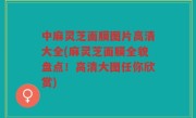 中麻灵芝面膜图片高清大全(麻灵芝面膜全貌盘点！高清大图任你欣赏)