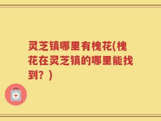 灵芝镇哪里有槐花(槐花在灵芝镇的哪里能找到？)