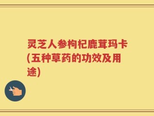 灵芝人参枸杞鹿茸玛卡(五种草药的功效及用途)