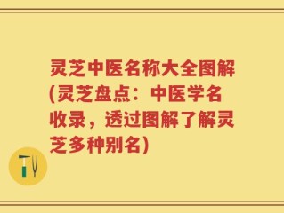 灵芝中医名称大全图解(灵芝盘点：中医学名收录，透过图解了解灵芝多种别名)