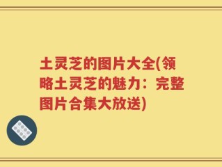 土灵芝的图片大全(领略土灵芝的魅力：完整图片合集大放送)