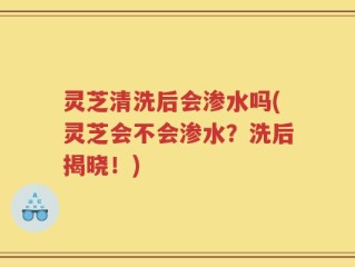 灵芝清洗后会渗水吗(灵芝会不会渗水？洗后揭晓！)
