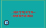 一拼灵芝鸡(灵芝鸡——健康营养有保障)