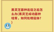 黑灵芝菌种出菇之后怎么办(黑灵芝成功菌种培育，如何处理菇体？)