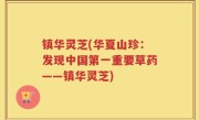 镇华灵芝(华夏山珍：发现中国第一重要草药——镇华灵芝)