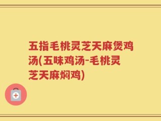 五指毛桃灵芝天麻煲鸡汤(五味鸡汤-毛桃灵芝天麻焖鸡)