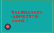 龙岩野生灵芝价格多少(龙岩野生灵芝价格，你知道吗？)