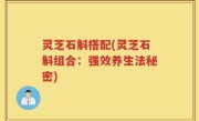 灵芝石斛搭配(灵芝石斛组合：强效养生法秘密)