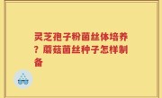 灵芝孢子粉菌丝体培养？蘑菇菌丝种子怎样制备