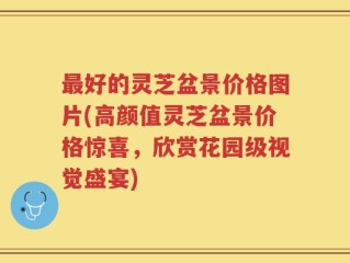 最好的灵芝盆景价格图片(高颜值灵芝盆景价格惊喜，欣赏花园级视觉盛宴)