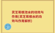 灵芝葛根泡水的功效与作用(灵芝葛根水的功效与作用解析)