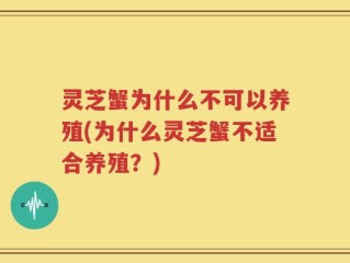 灵芝蟹为什么不可以养殖(为什么灵芝蟹不适合养殖？)