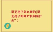 灵芝孢子怎么死的(灵芝孢子的死亡机制是什么？)