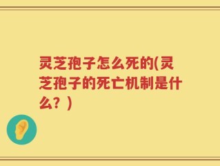 灵芝孢子怎么死的(灵芝孢子的死亡机制是什么？)