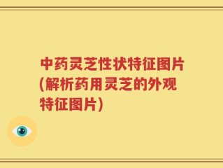 中药灵芝性状特征图片(解析药用灵芝的外观特征图片)