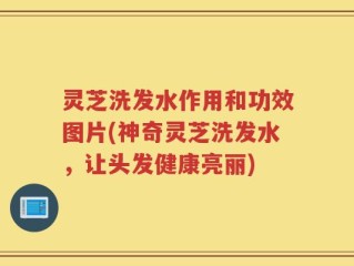 灵芝洗发水作用和功效图片(神奇灵芝洗发水，让头发健康亮丽)