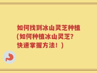 如何找到冰山灵芝种植(如何种植冰山灵芝？快速掌握方法！)