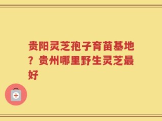 贵阳灵芝孢子育苗基地？贵州哪里野生灵芝最好