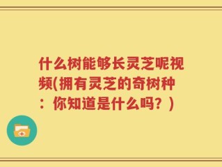 什么树能够长灵芝呢视频(拥有灵芝的奇树种：你知道是什么吗？)