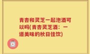 青杏和灵芝一起泡酒可以吗(青杏灵芝酒：一道美味的秋日佳饮)