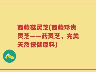 西藏菇灵芝(西藏珍贵灵芝——菇灵芝，完美天然保健原料)