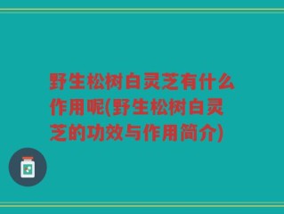 野生松树白灵芝有什么作用呢(野生松树白灵芝的功效与作用简介)