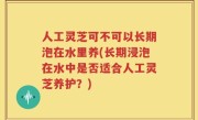 人工灵芝可不可以长期泡在水里养(长期浸泡在水中是否适合人工灵芝养护？)