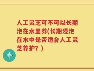 人工灵芝可不可以长期泡在水里养(长期浸泡在水中是否适合人工灵芝养护？)