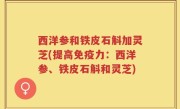 西洋参和铁皮石斛加灵芝(提高免疫力：西洋参、铁皮石斛和灵芝)