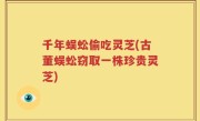 千年蜈蚣偷吃灵芝(古董蜈蚣窃取一株珍贵灵芝)