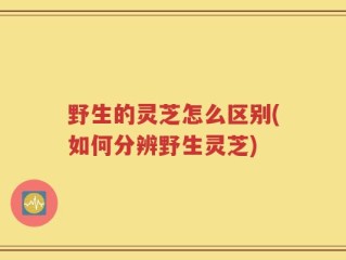 野生的灵芝怎么区别(如何分辨野生灵芝)