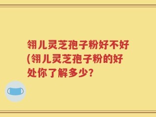 翎儿灵芝孢子粉好不好(翎儿灵芝孢子粉的好处你了解多少？