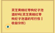 灵芝黄精红枣枸杞子泡酒好吗(灵芝黄精红枣枸杞子泡酒的可行性與收益分析)