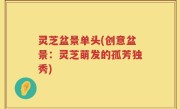 灵芝盆景单头(创意盆景:灵芝萌发的孤芳独秀)