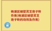 杨浦区破壁灵芝孢子粉作用(杨浦区破壁灵芝孢子粉的功效及作用)