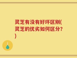 灵芝有没有好坏区别(灵芝的优劣如何区分？)