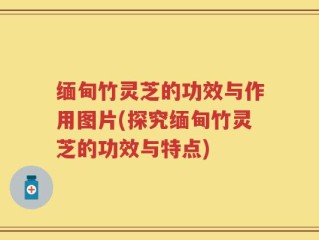 缅甸竹灵芝的功效与作用图片(探究缅甸竹灵芝的功效与特点)