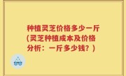 种植灵芝价格多少一斤(灵芝种植成本及价格分析：一斤多少钱？)