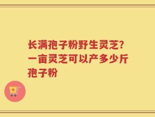 长满孢子粉野生灵芝？一亩灵芝可以产多少斤孢子粉