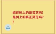 结在树上的是灵芝吗(是树上的真正灵芝吗？)