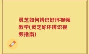 灵芝如何辨识好坏视频教学(灵芝好坏辨识视频指南)