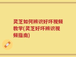灵芝如何辨识好坏视频教学(灵芝好坏辨识视频指南)